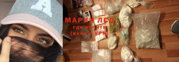 крисы Новозыбков